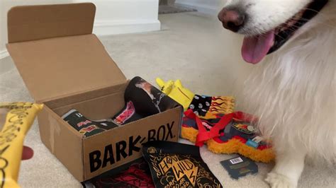 Unboxing the July 2019 BarkBox 